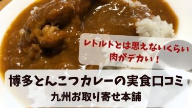 【肉デカ！】九州お取り寄せ本舗の博多とんこつカレーの実食口コミ！九州女子がレトルトカレーを実食・画像43枚