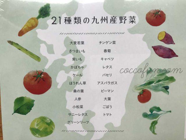 ドクターベジフル青汁を飲んだ口コミ！九州産21種類の野菜を使った無添加青汁